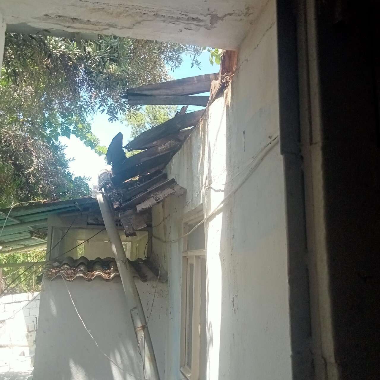 Muğla'da Ev Sahibi-Kiracı Gerginliği Dernek Başkan Yardımcısı Mağdur Edildi 4